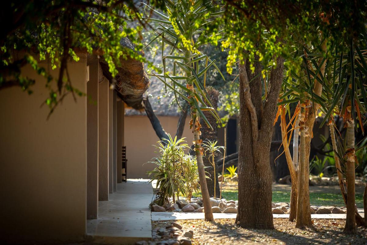 Karongwe- Shiduli Safari Lodge