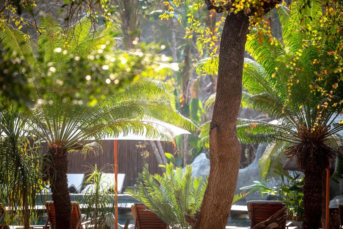 Karongwe- Shiduli Safari Lodge
