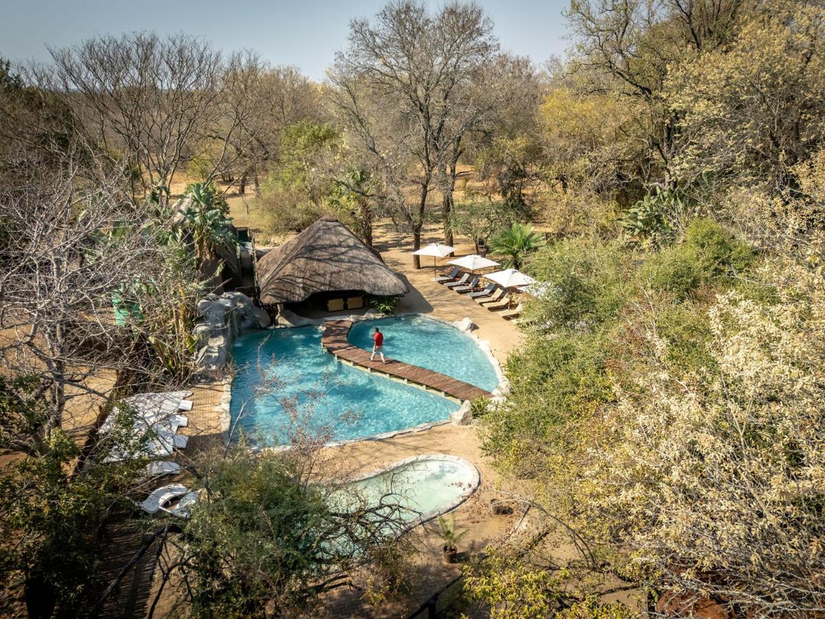 Karongwe- Shiduli Safari Lodge