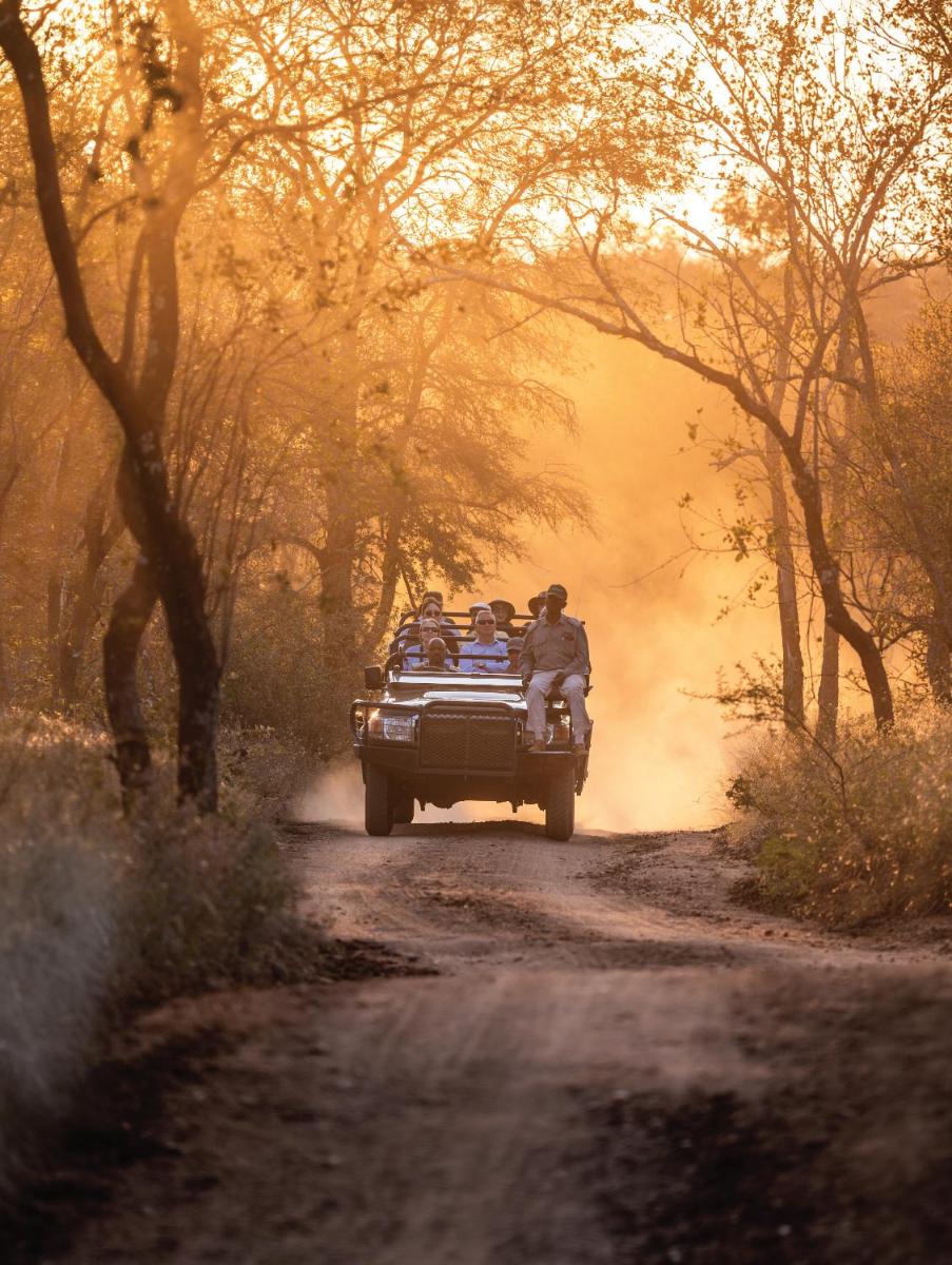 Karongwe- Shiduli Safari Lodge