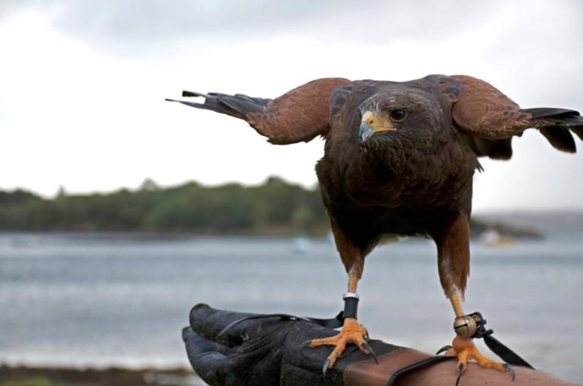 Shieldaig Lodge Hotel