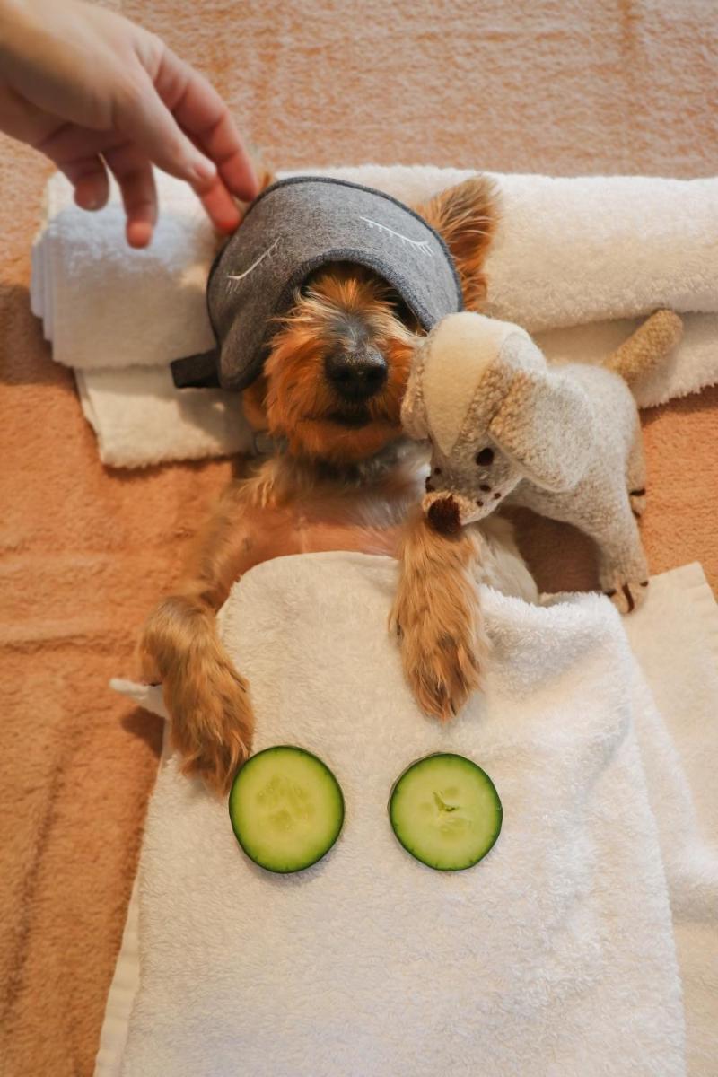 Six Senses Douro Valley