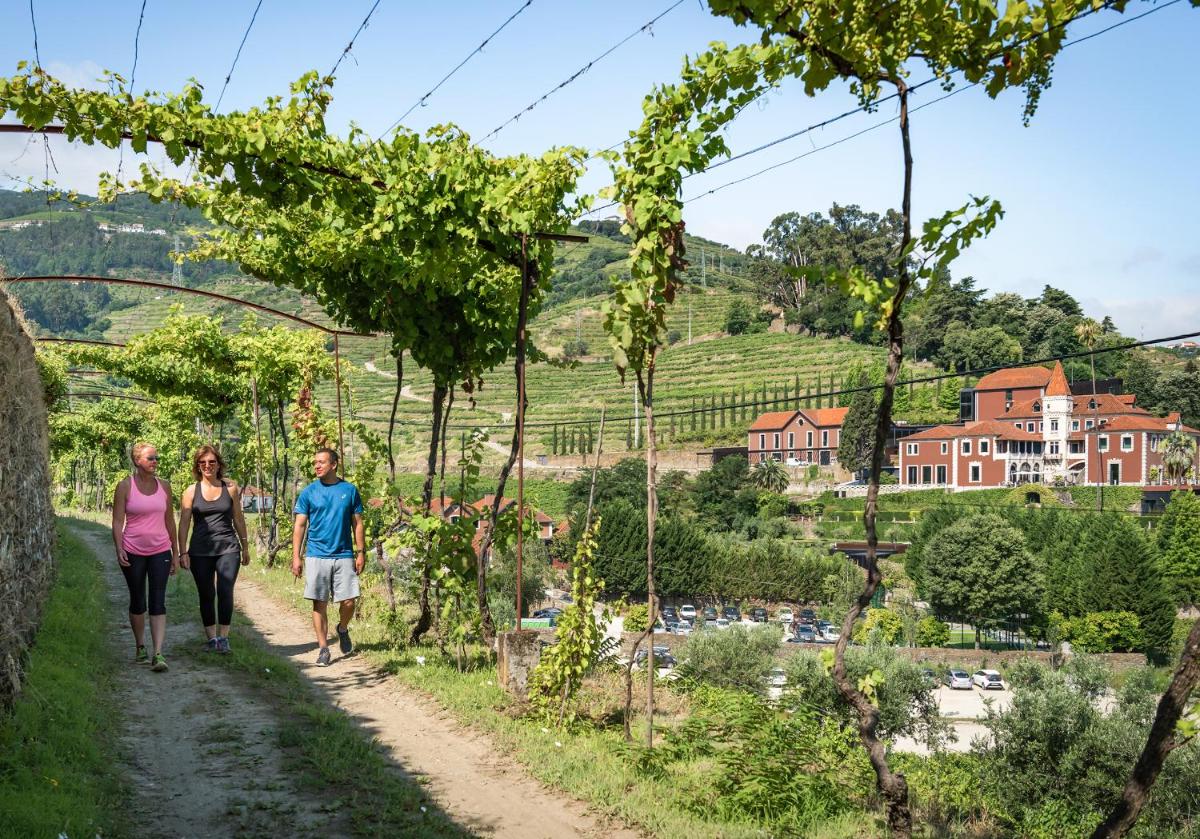 Six Senses Douro Valley