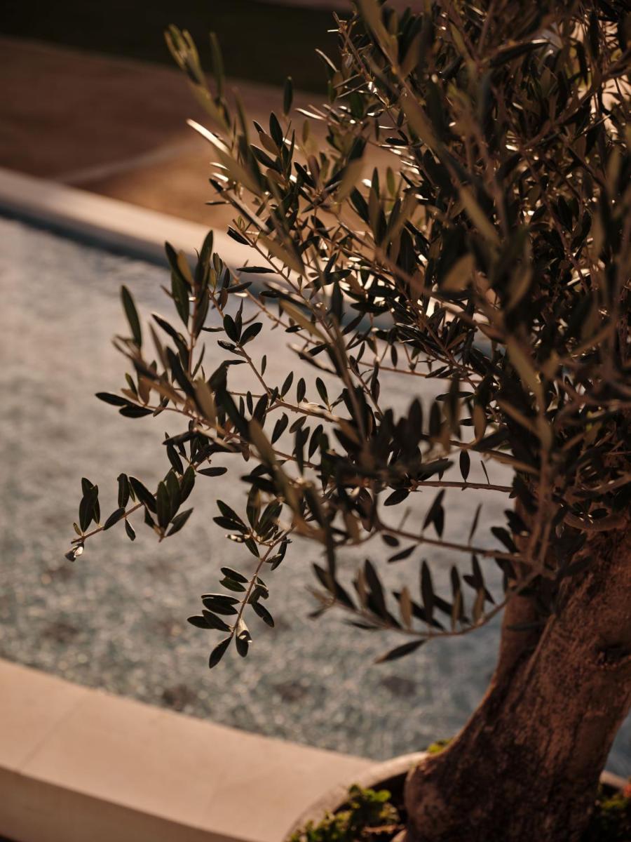 SO/ Sotogrande Spa & Golf Resort Hotel