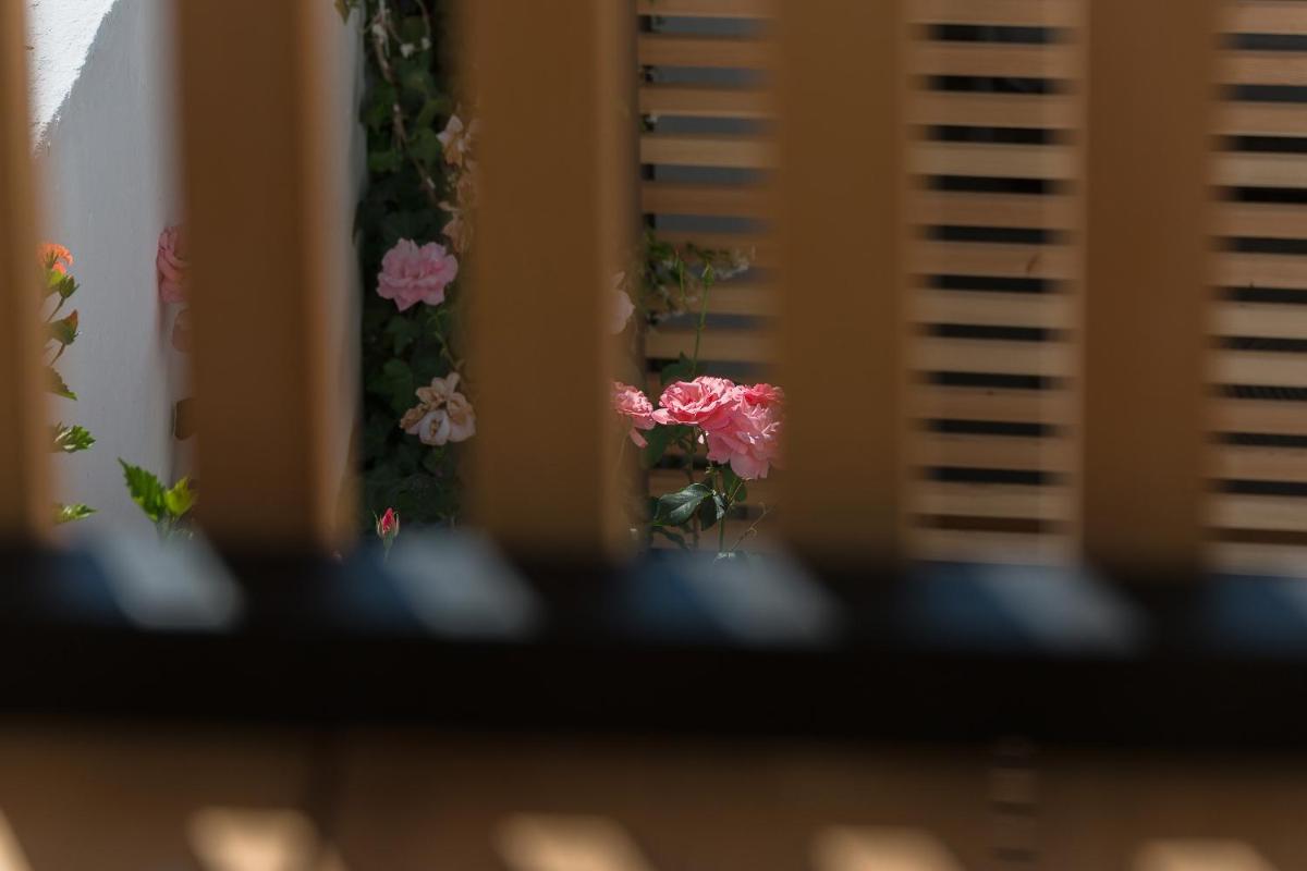 Sodium Boutique Hotel