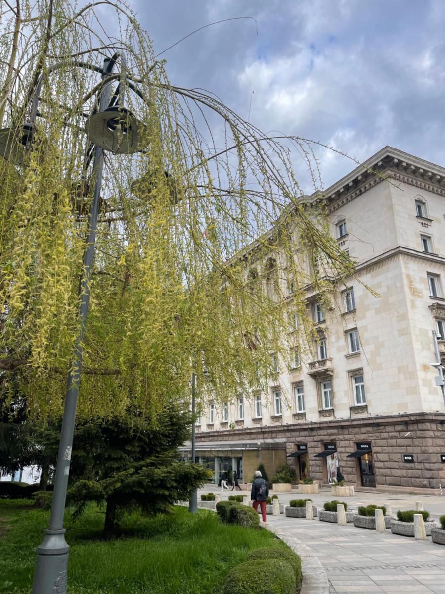 Sofia Balkan Palace