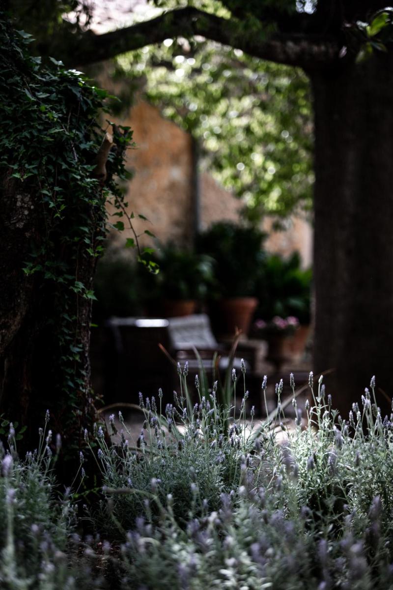 Agroturismo Son Boronat