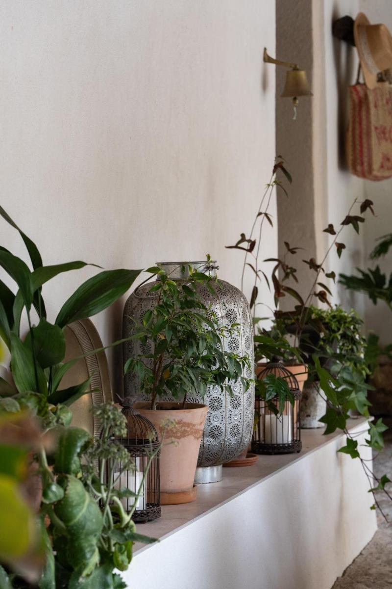 Agroturismo Son Boronat