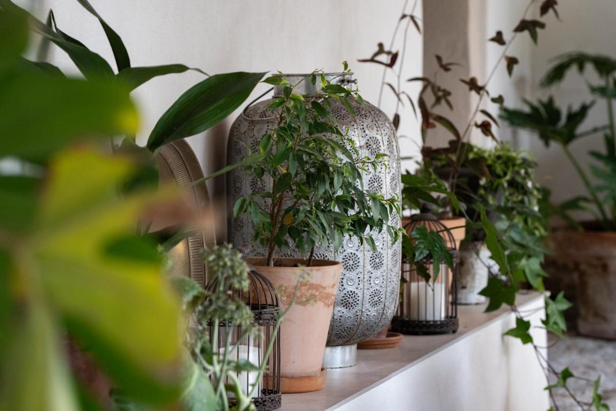 Agroturismo Son Boronat