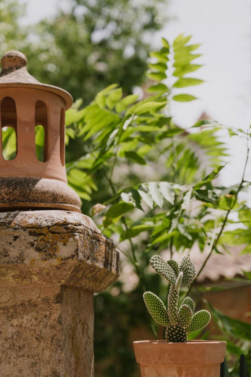 Agroturismo Son Boronat