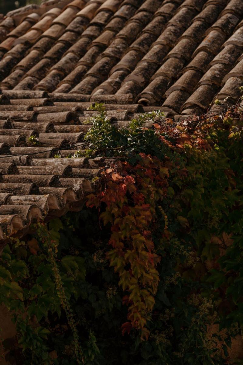 Agroturismo Son Boronat