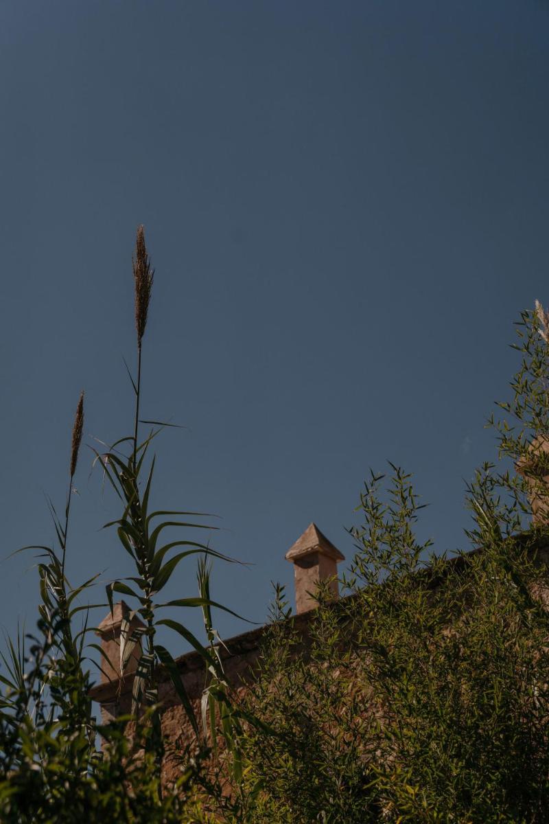 Agroturismo Son Boronat