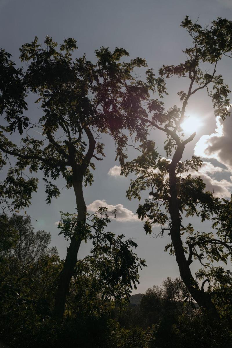 Agroturismo Son Boronat