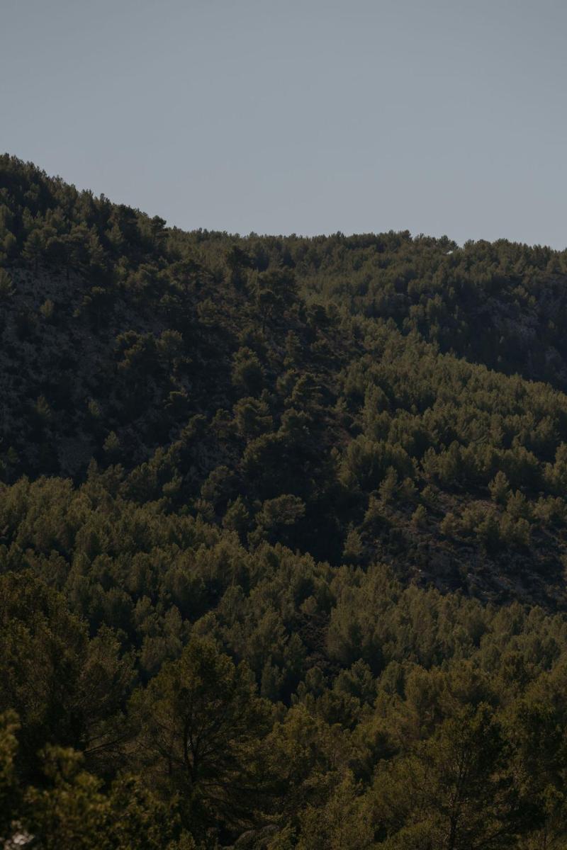 Agroturismo Son Boronat