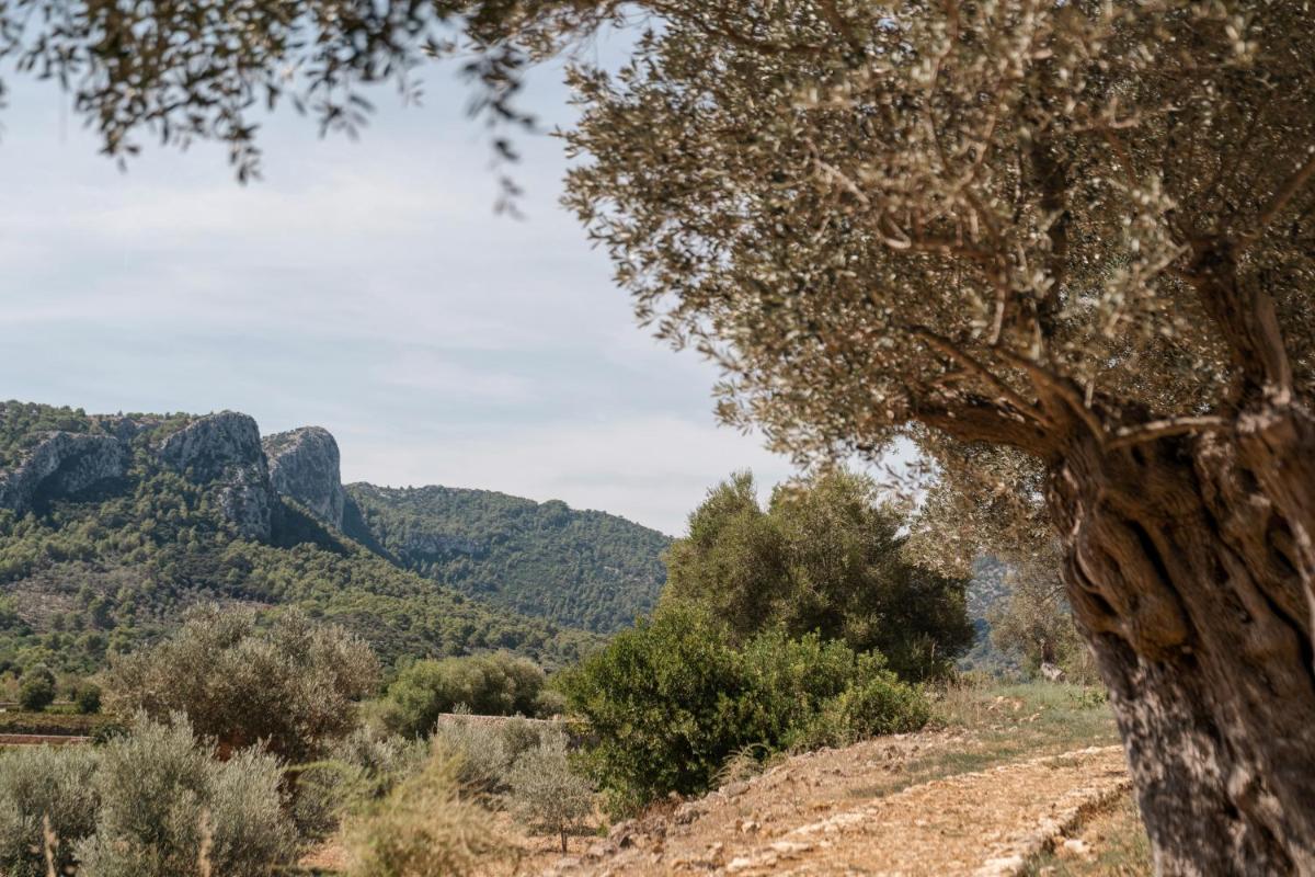 Son Brull Hotel & Spa - Relais & Chateaux