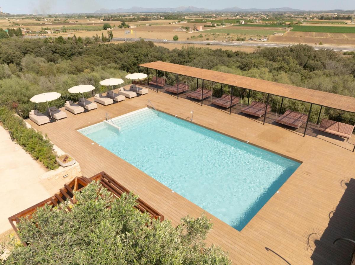 Son Sabater by Zafiro