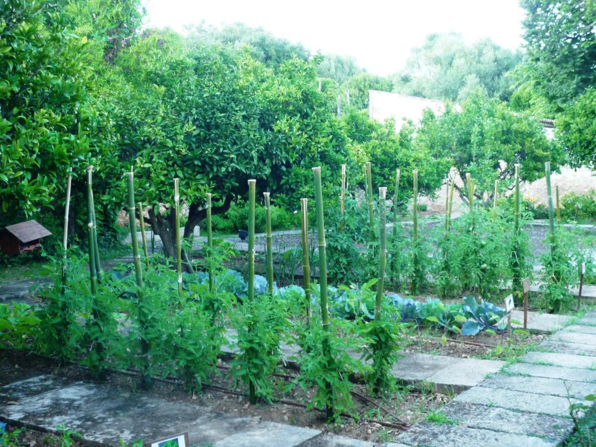 Agroturismo Son Siurana