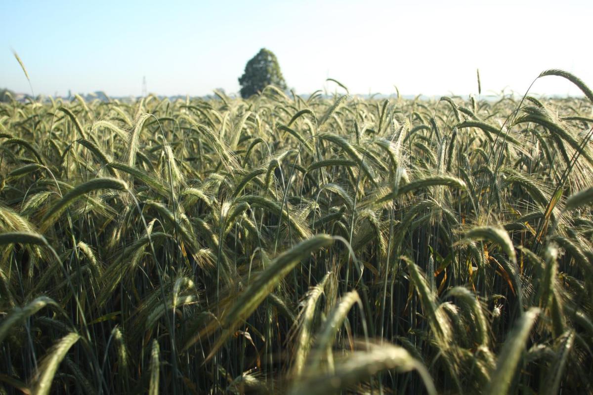 Sun House, Boutique Hotel