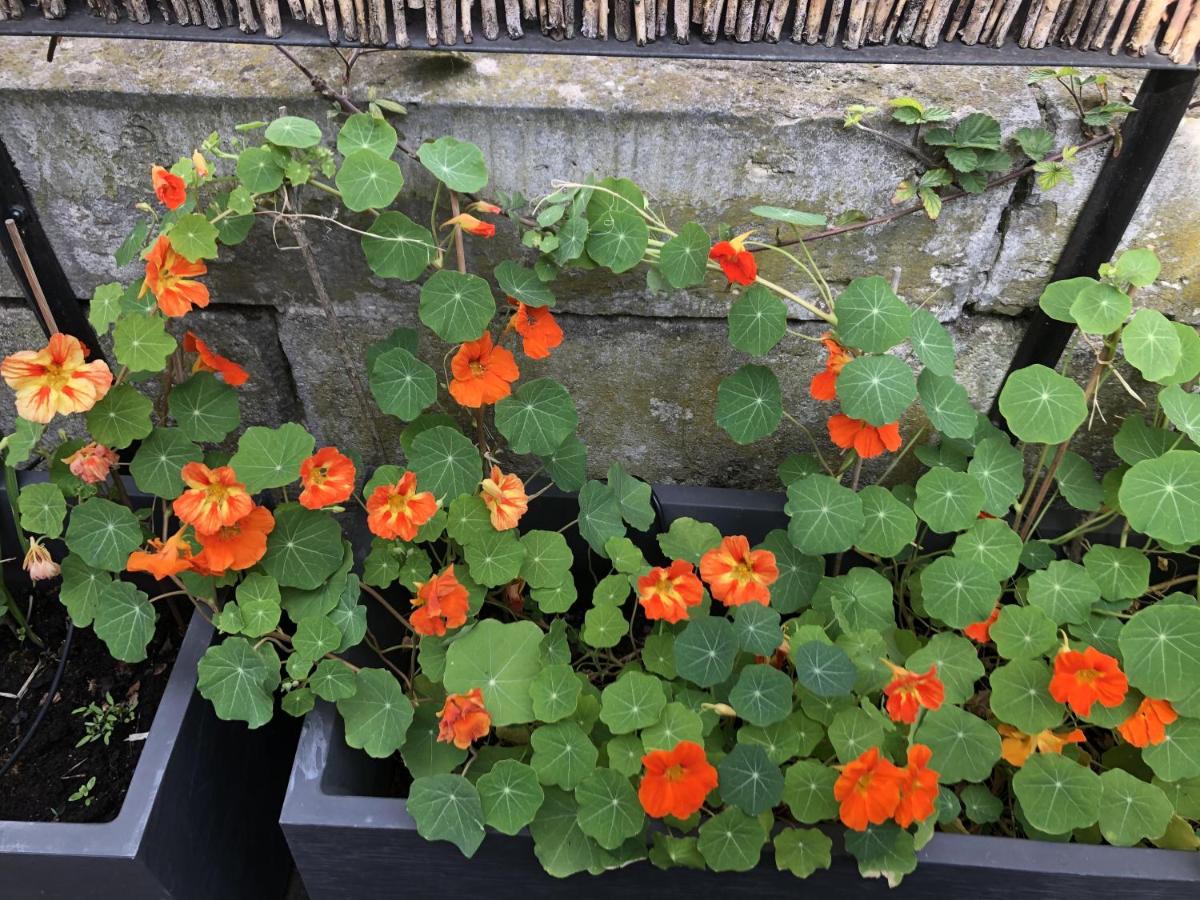 Sourire Boutique Hôtel Particulier