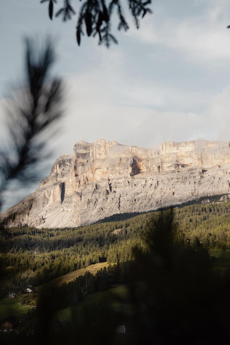 Sportony Mountain Lodges