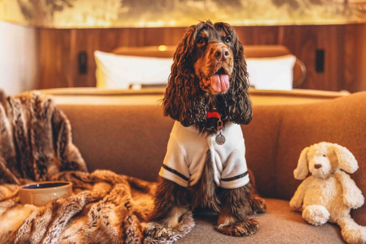 St Pancras London, Autograph Collection