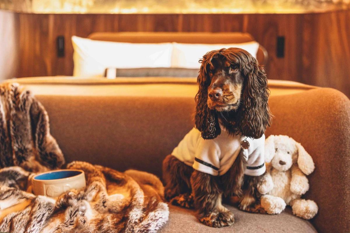 St Pancras London, Autograph Collection