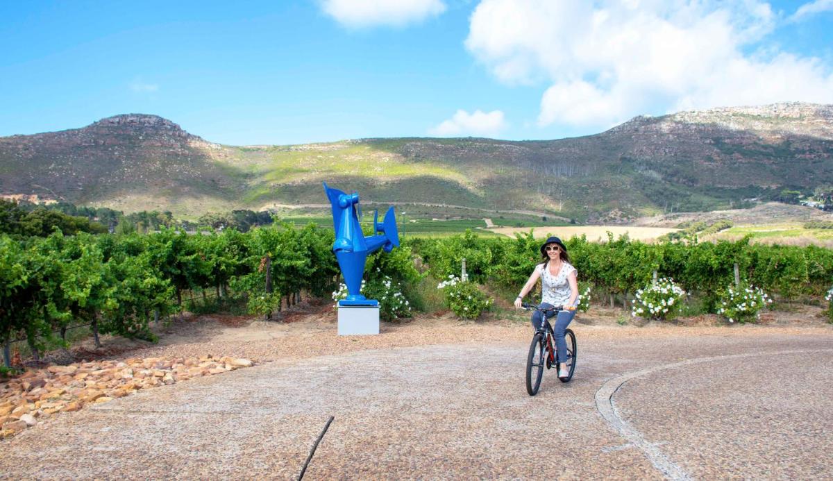 Steenberg Hotel & Spa