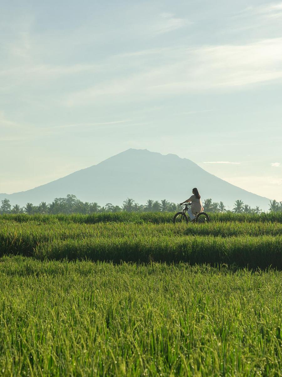 Sthala, A Tribute Portfolio Hotel, Ubud Bali