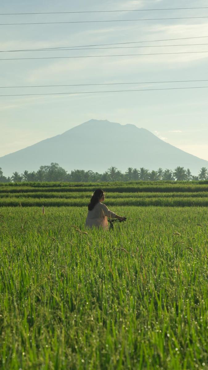 Sthala, A Tribute Portfolio Hotel, Ubud Bali