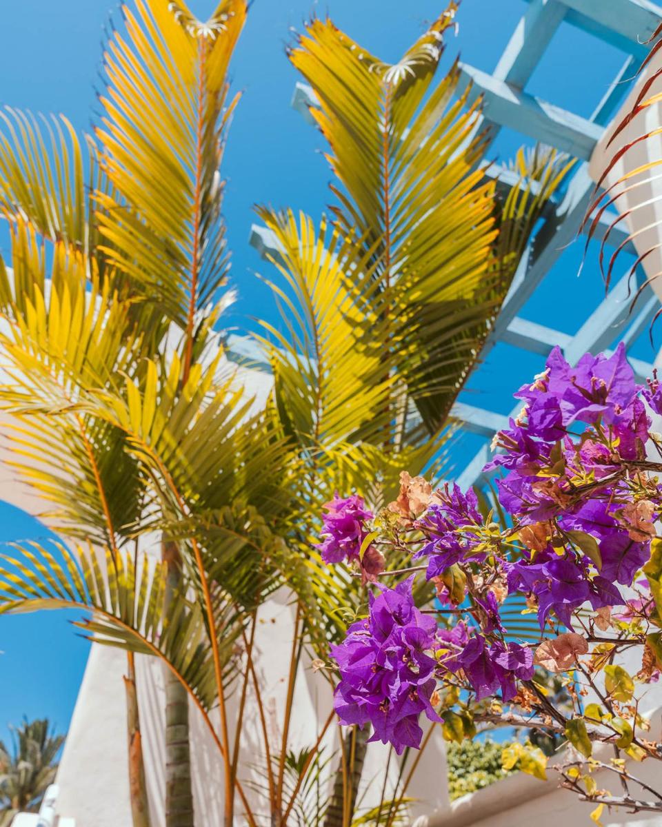 Alua Suites Fuerteventura - All Inclusive