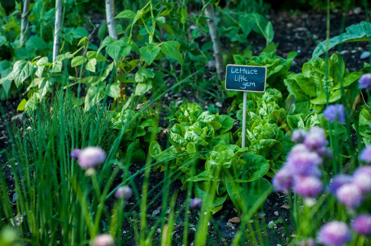 Summer Lodge Country House Hotel