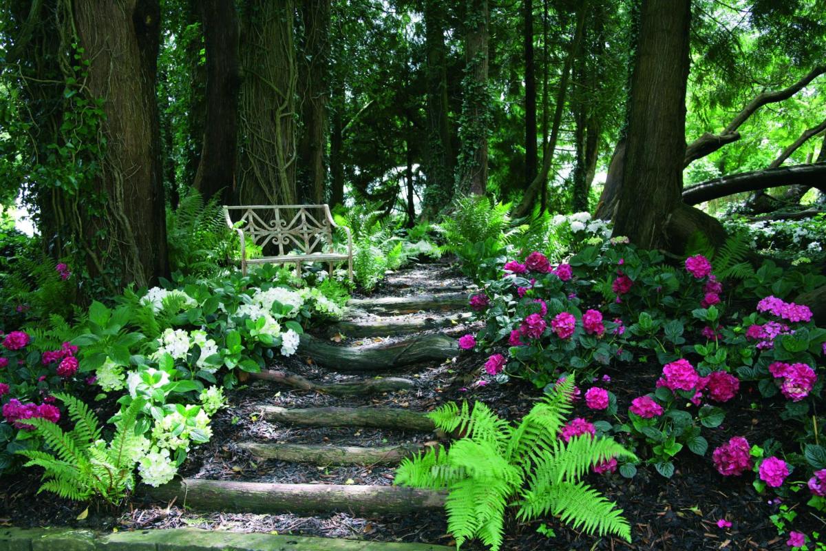 Summer Lodge Country House Hotel