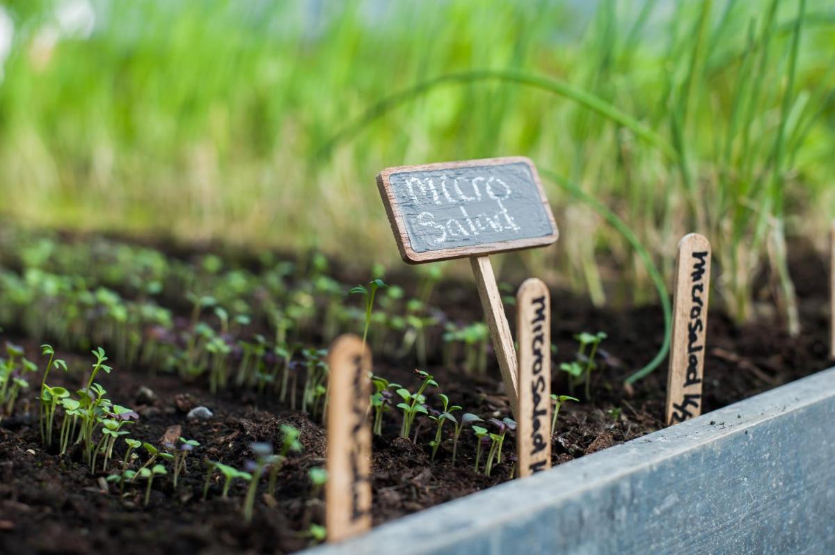 Summer Lodge Country House Hotel