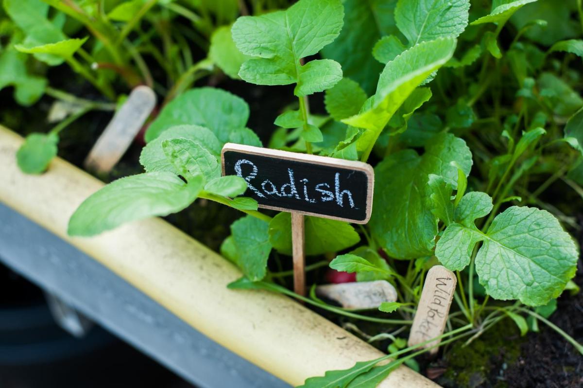 Summer Lodge Country House Hotel