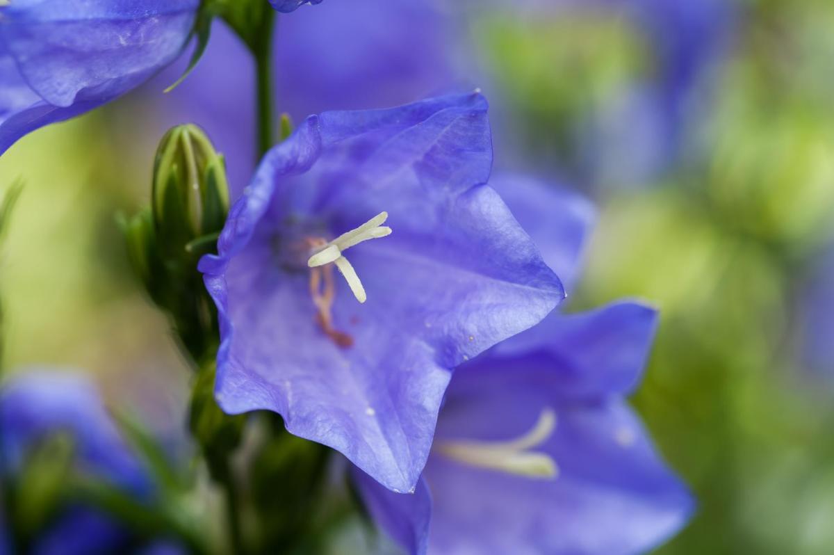 Summer Lodge Country House Hotel