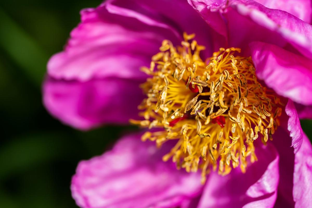 Summer Lodge Country House Hotel