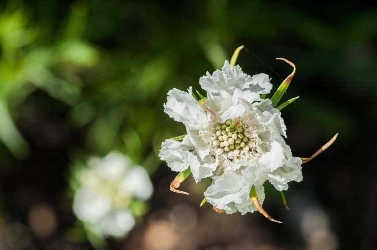 Summer Lodge Country House Hotel