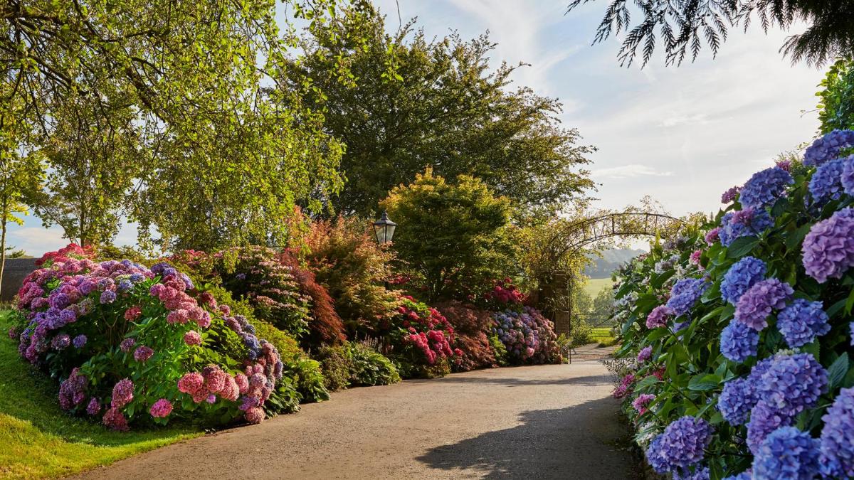 Summer Lodge Country House Hotel