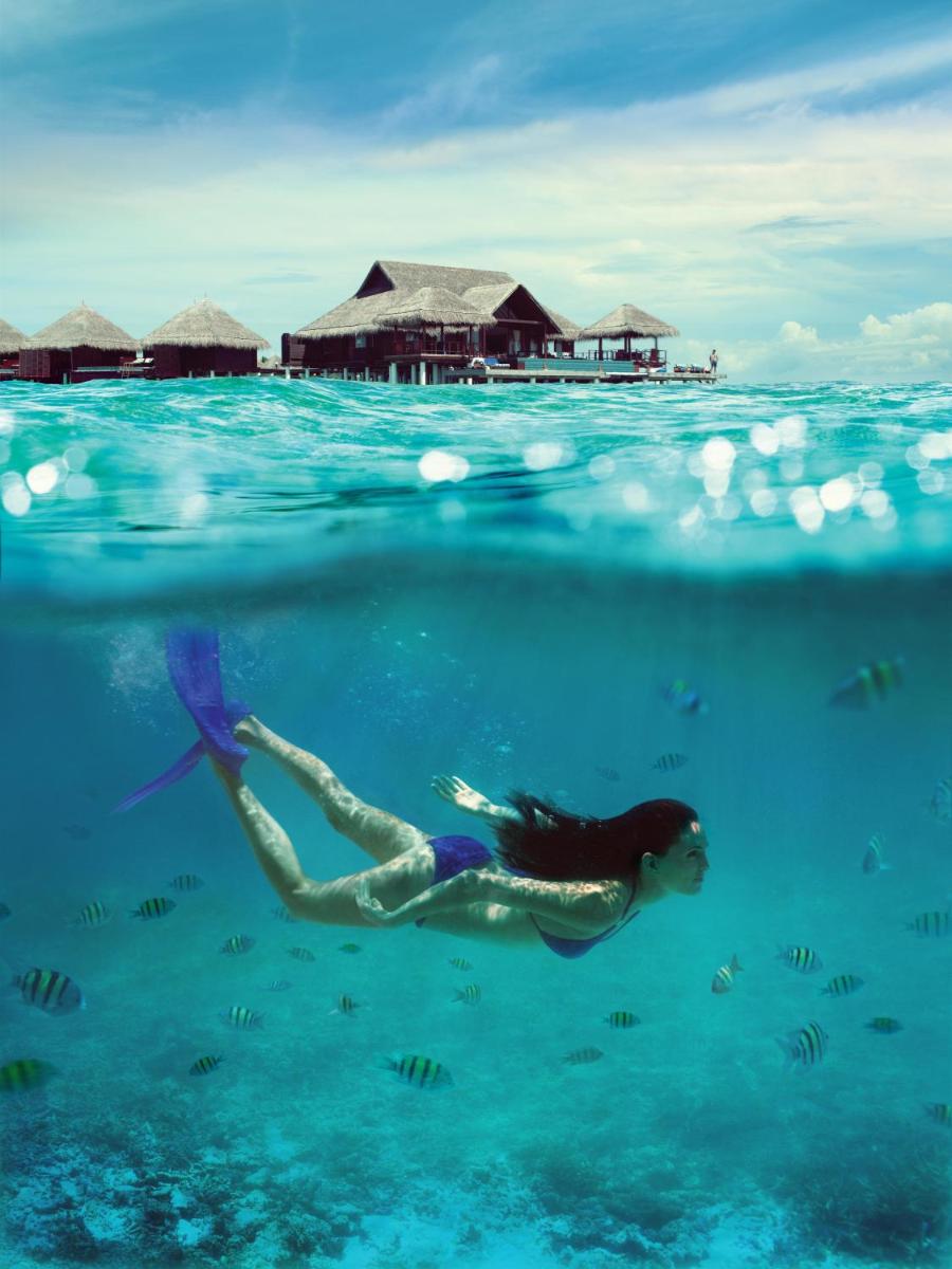 Taj Exotica Resort & Spa, Maldives - Free Airport Transfers
