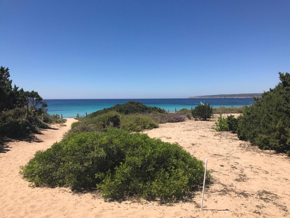 Talaya Formentera