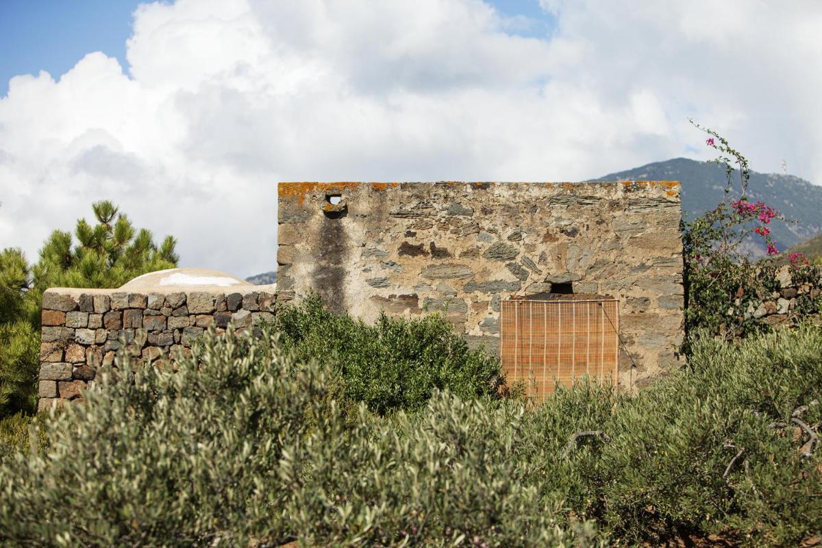 Tenuta Borgia