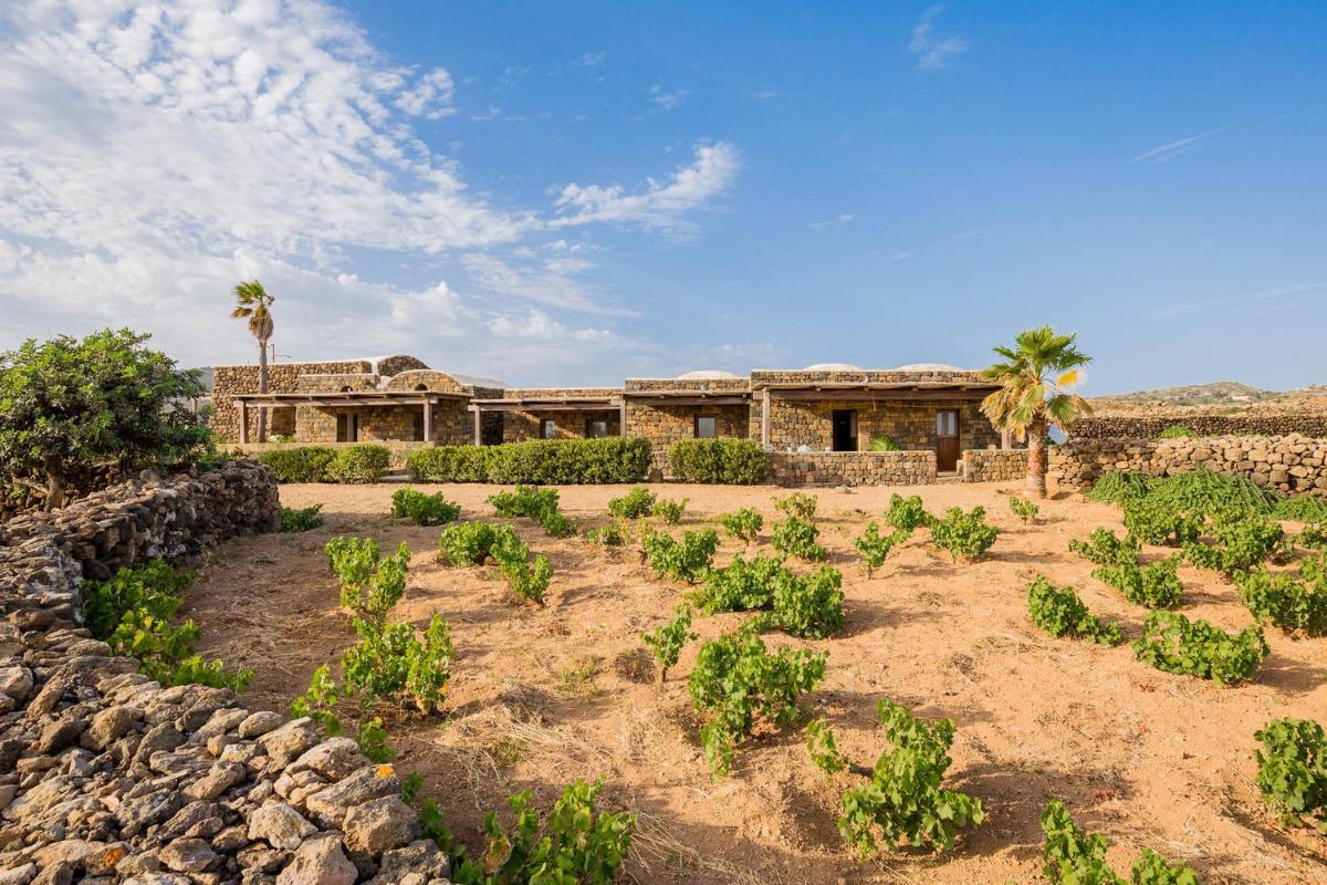 Abraxas Vigne di Pantelleria - Tenuta Bukkuram