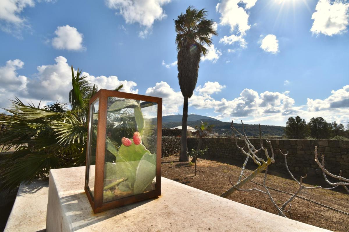 Abraxas Vigne di Pantelleria - Tenuta Bukkuram