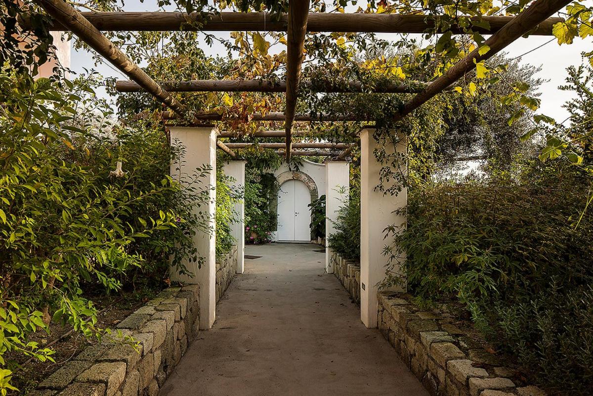 Tenuta Del Poggio Antico