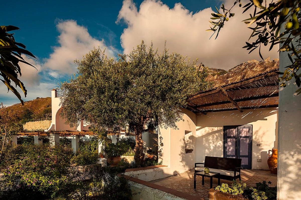 Tenuta Del Poggio Antico