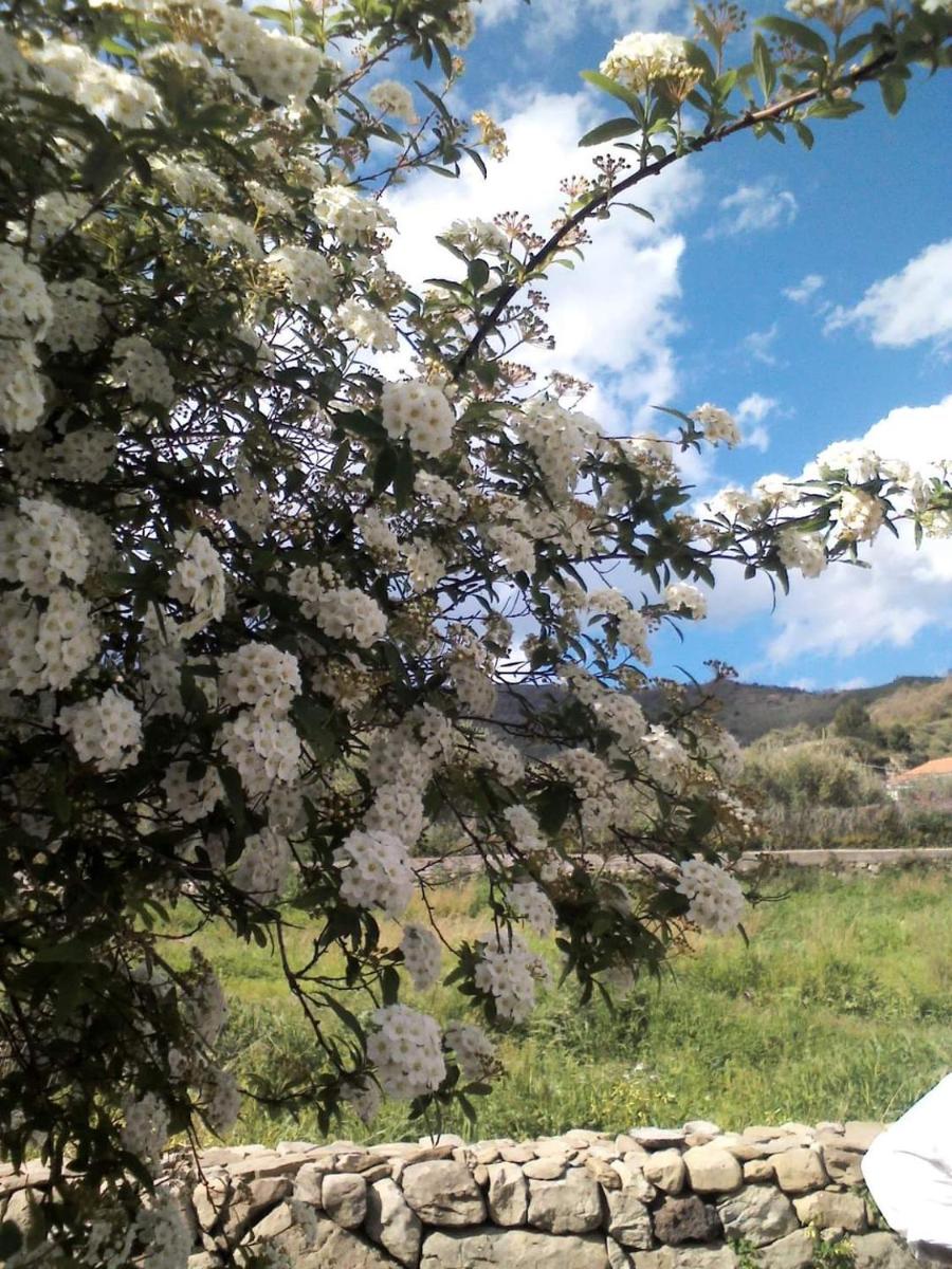 Tenuta EDONE' Country House