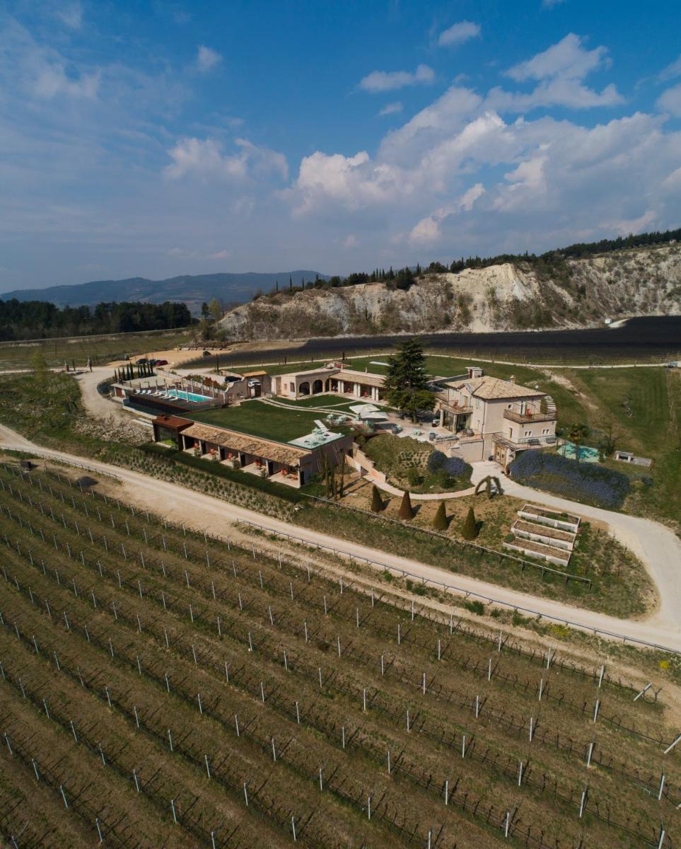 Tenuta Le Cave