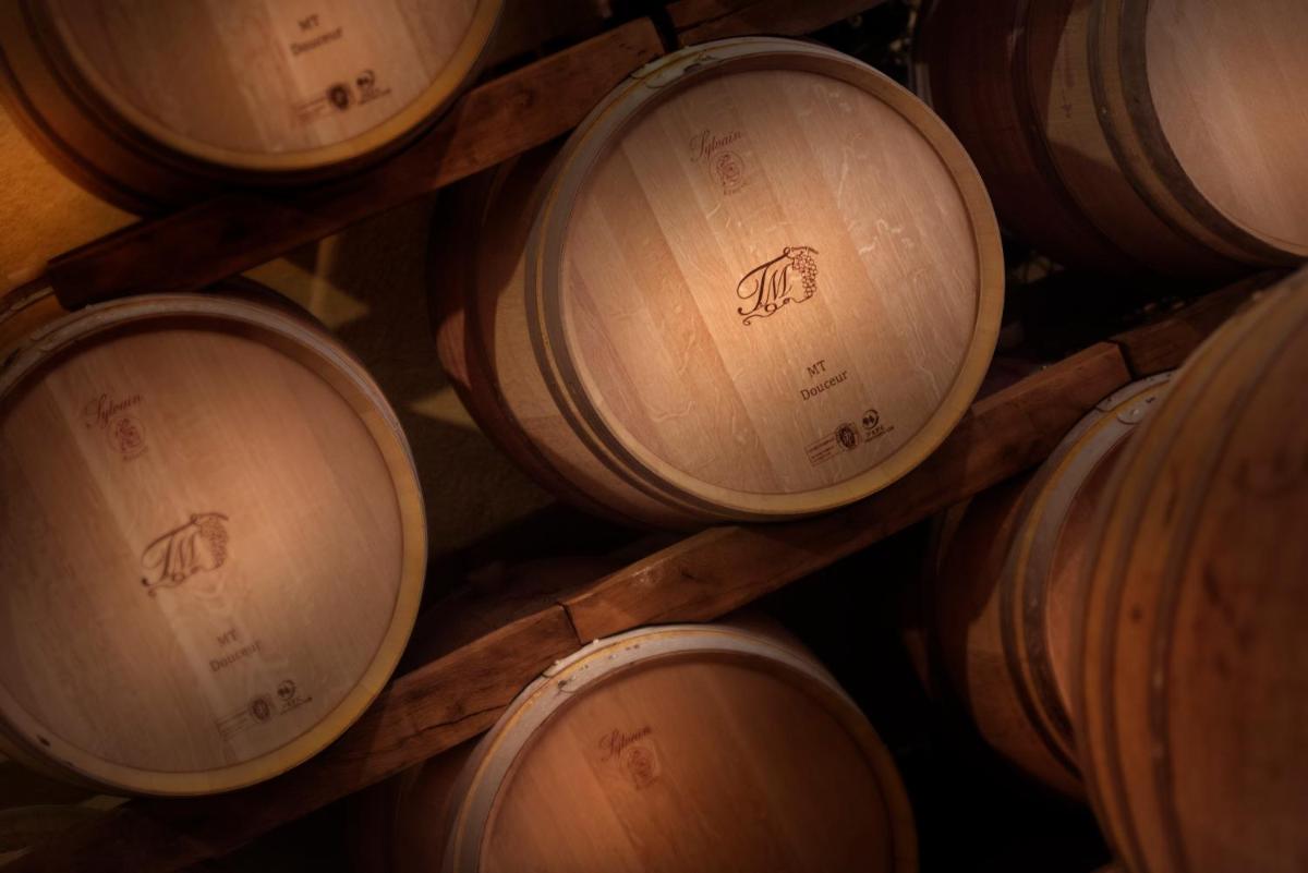 Tenuta Montemagno Relais & Wines