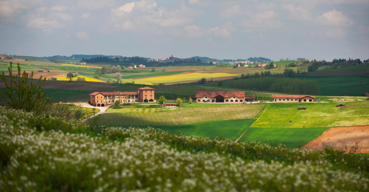 Tenuta Montemagno Relais & Wines