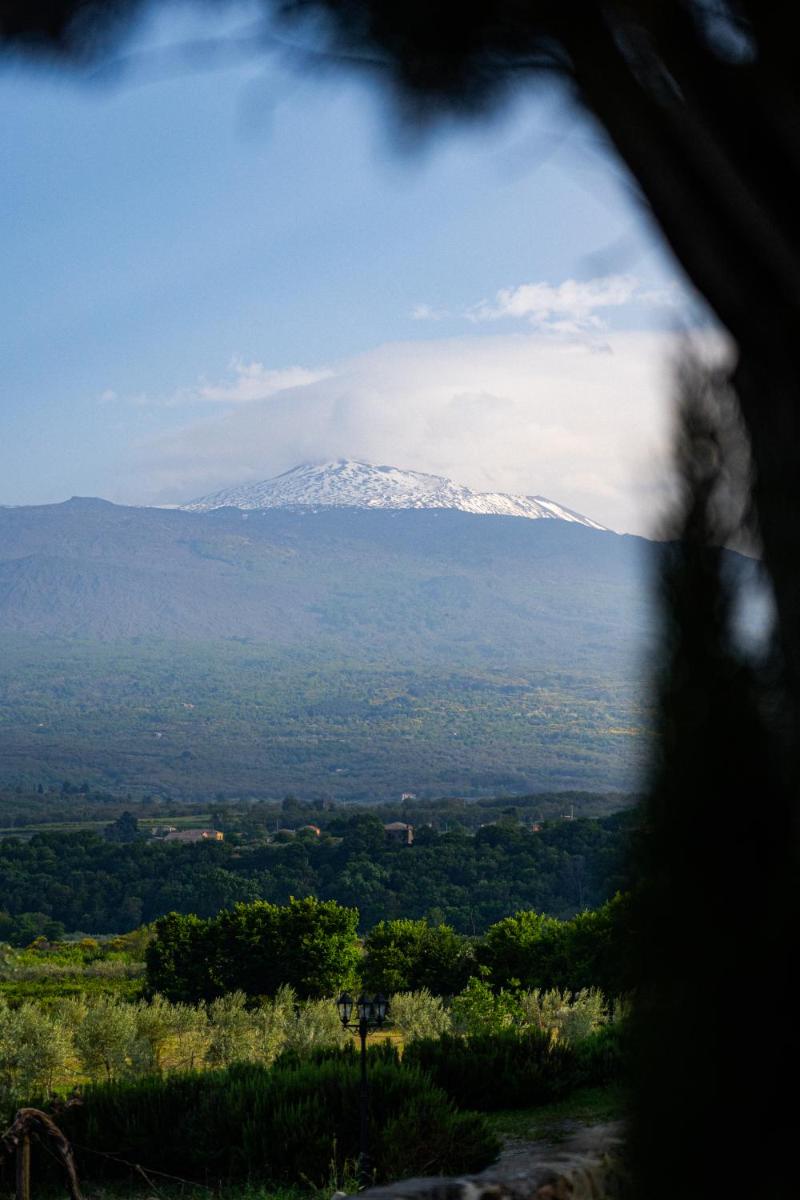 Tenuta Rustìca 1519